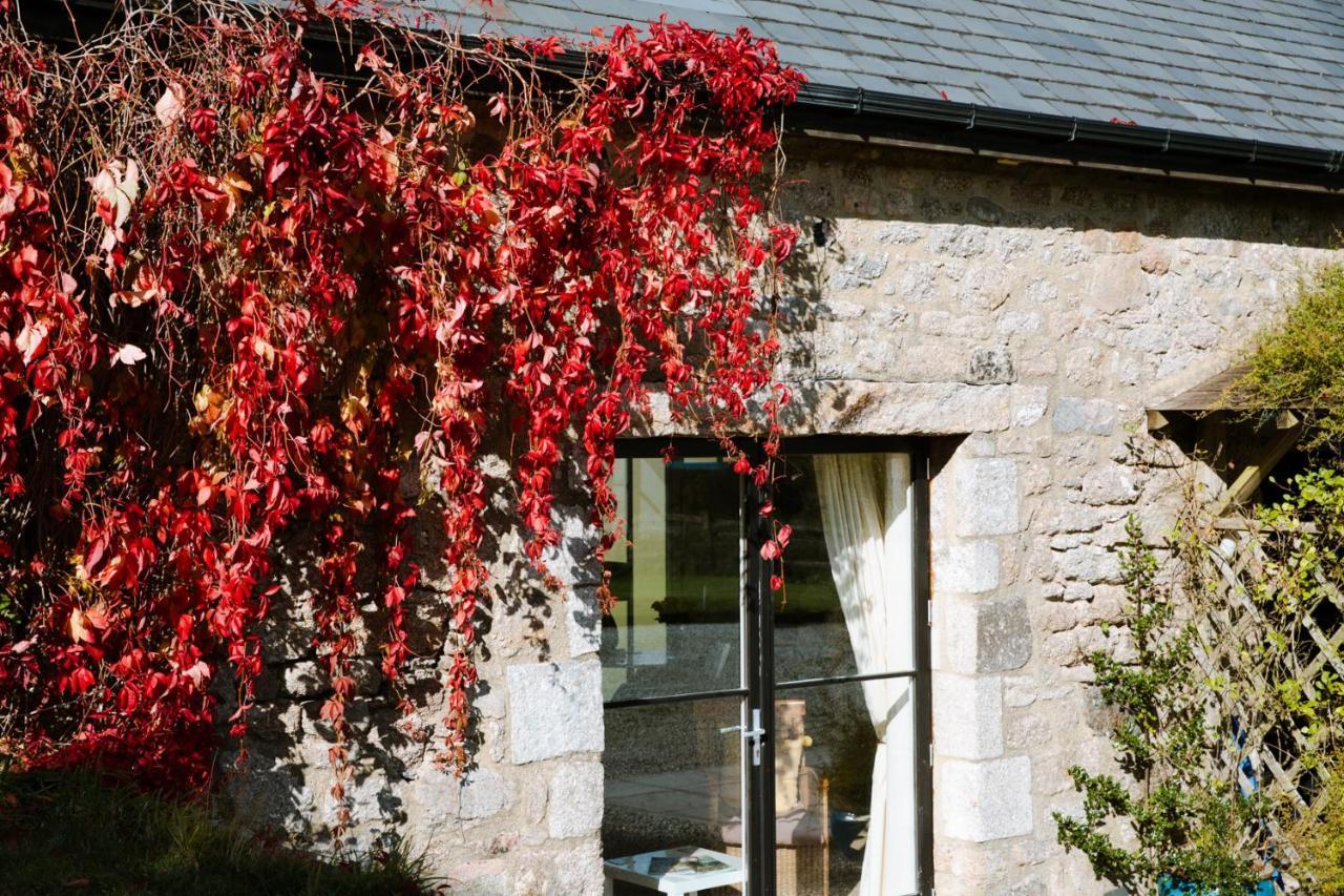 צ'גפורד Higher Weddicott Barn Holiday Cottage - Self Catering מראה חיצוני תמונה